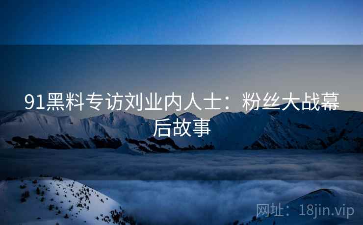 91黑料专访刘业内人士：粉丝大战幕后故事