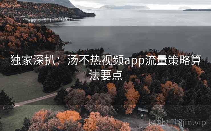 独家深扒：汤不热视频app流量策略算法要点